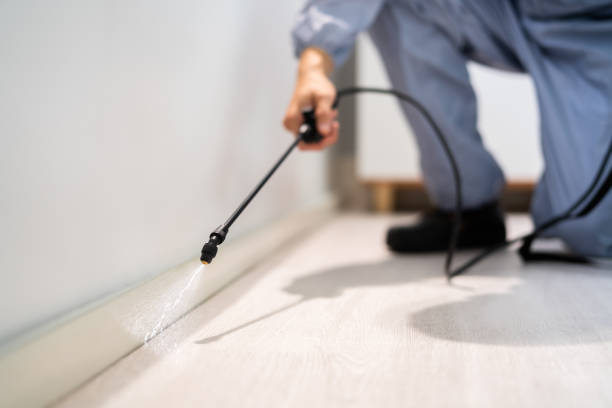 Licensed Mosquito Control service in Quincy, MA - Show Me Pest Control