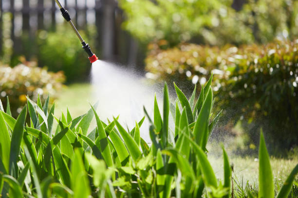 24/7 Emergency Mosquito Control experts in Quincy, MA