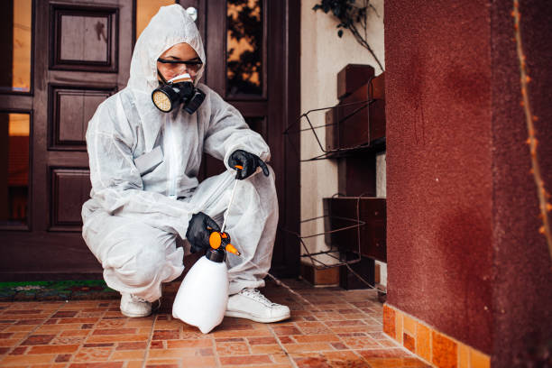 Reliable Mosquito Control contractor in Quincy, MA by Show Me Pest Control