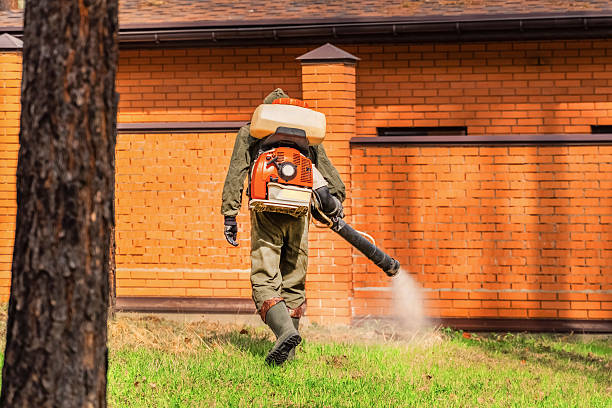 Top rated local Mosquito Control specialists in Quincy, MA